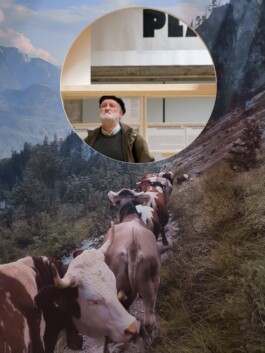 Exhibition installation by LWZ Studio for Toourism at Architekturzentrum Wien, featuring a large alpine photography of cattle with a circular cutout revealing an indoor display and a visitor. LWZ Design and Animation Vienna